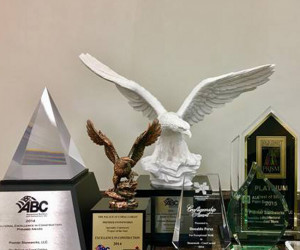 Award Winning Projects